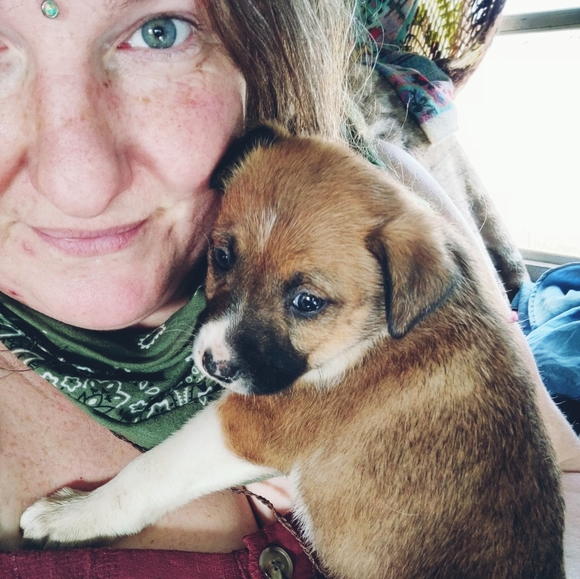 Meet your Posher, Sadie - Picture 2 of 2